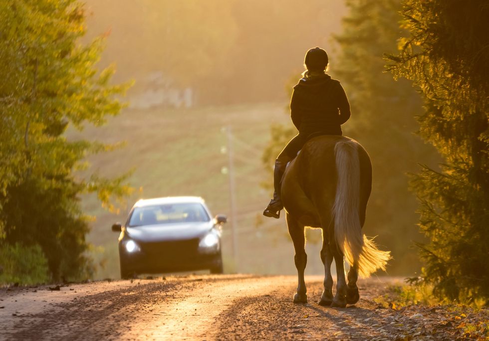 Horses Detect Near-Silent Electric Vehicles, Study Finds
